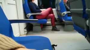 Brunette Stranger Sucks Cock In The Train